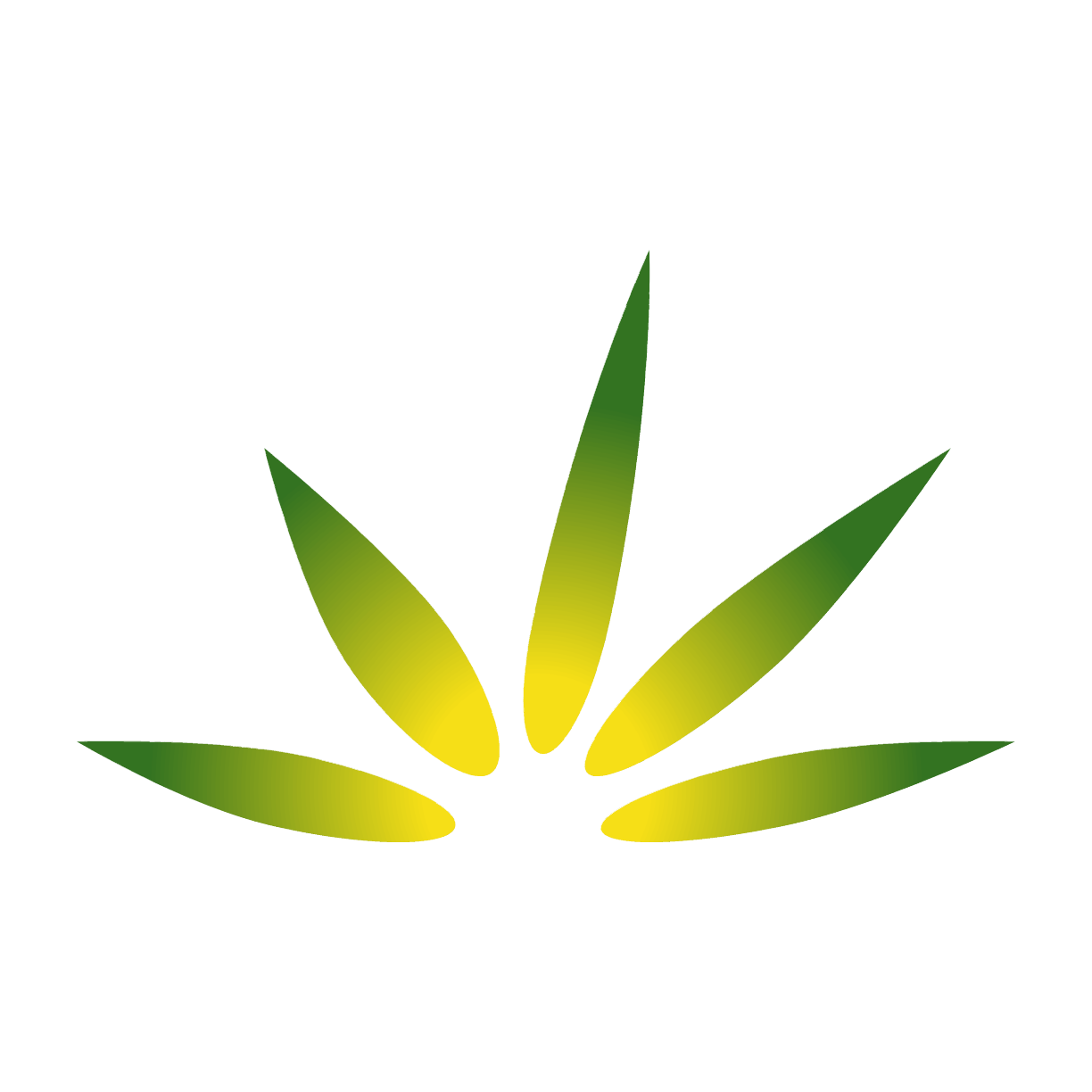 Cannabis Frontier