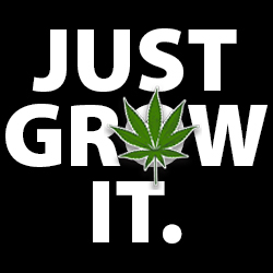 Just Grow It