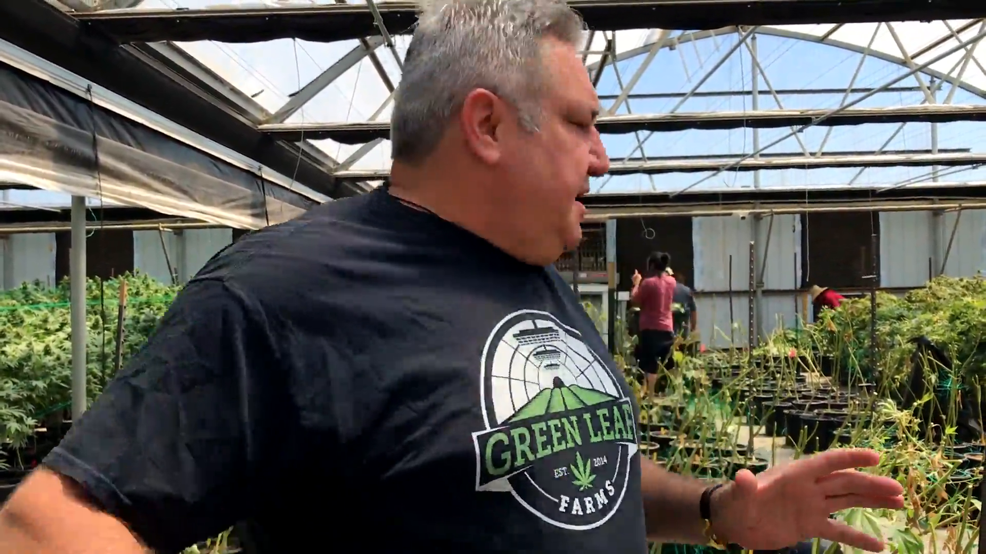 Green Leaf Farms - Salinas: Update with CEO Mark Bradley