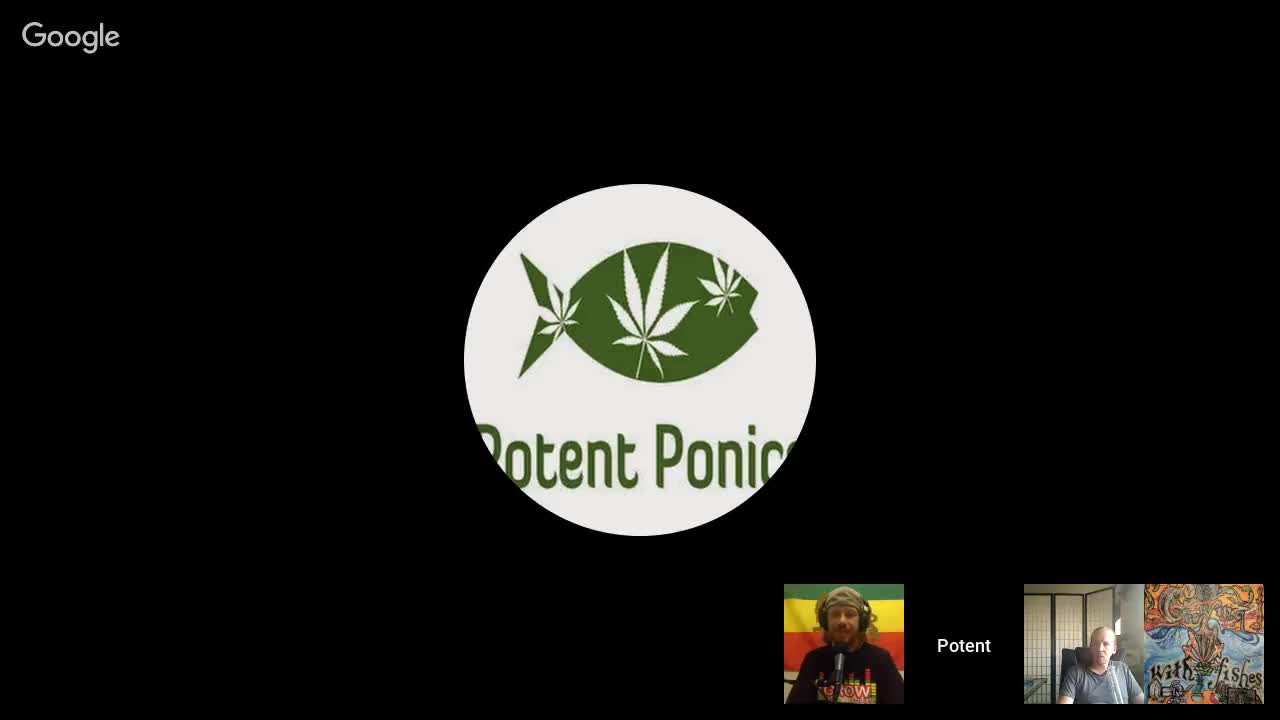 Growing With Fishes Podcast Episode 97 Rasta Jeff Irie Genetics & Grow from our Heart Podcast